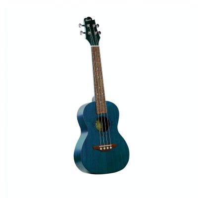 Ukelele Soprano + Funda Sonnet Azul 21¨