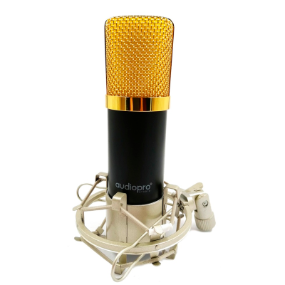 Microfono Condensador Profesional Home Studio