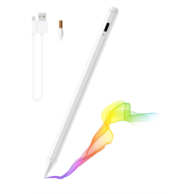 Lapiz Touch Magnetico Para iPad Con Rechazo de Palma DBG1411